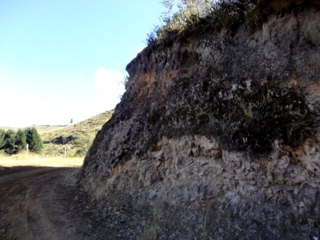 DSC01209