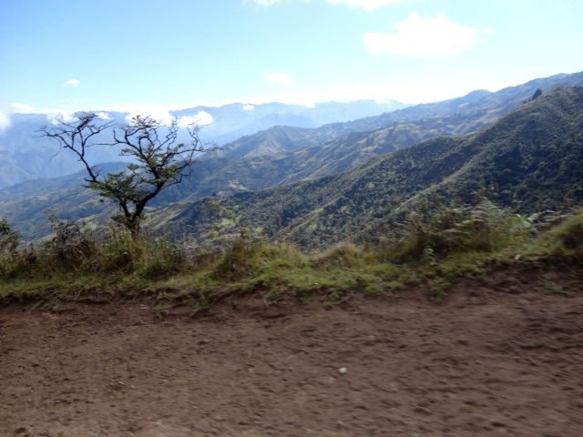 DSC01223