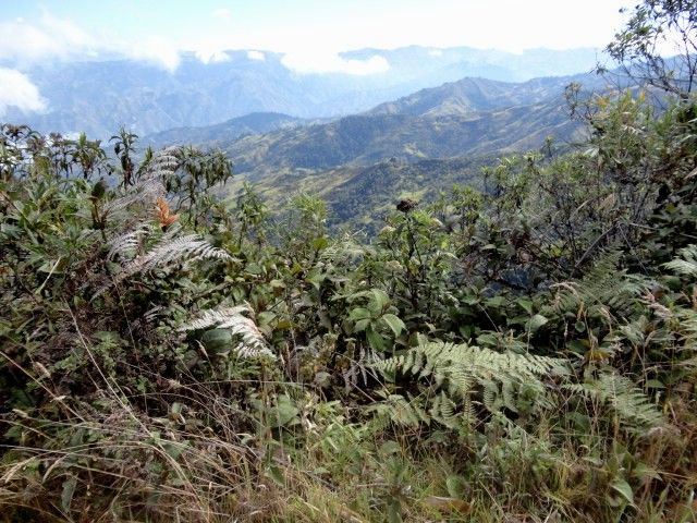 DSC01224 – copia