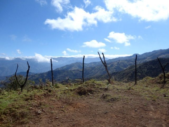 DSC01228 – copia
