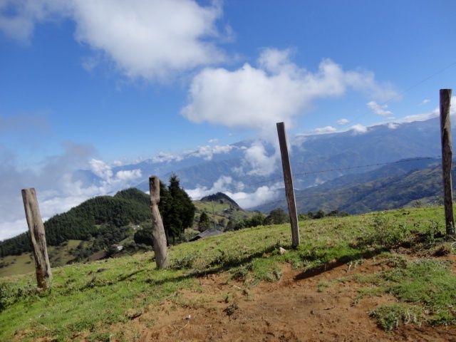 DSC01231