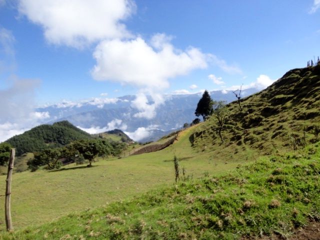 DSC01232