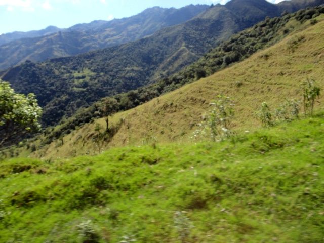 DSC01235