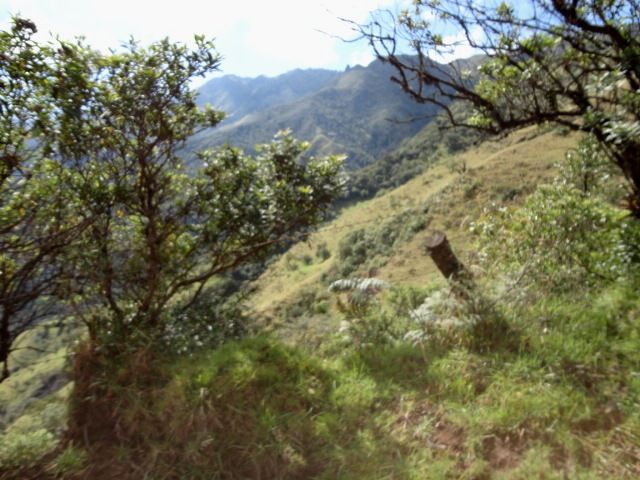 DSC01238