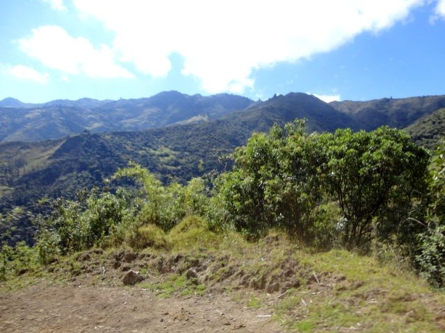 DSC01242