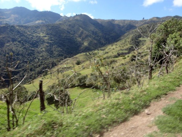 DSC01244