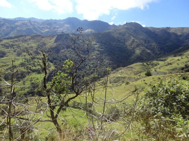 DSC01245