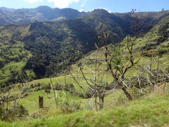 DSC01246
