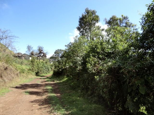 DSC01253