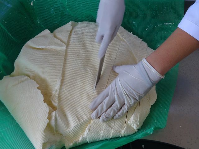 DSC01255