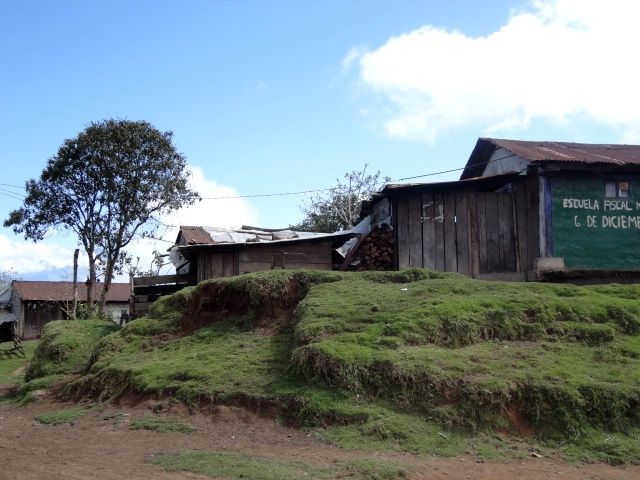 DSC01269