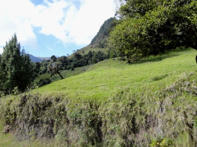 DSC01270