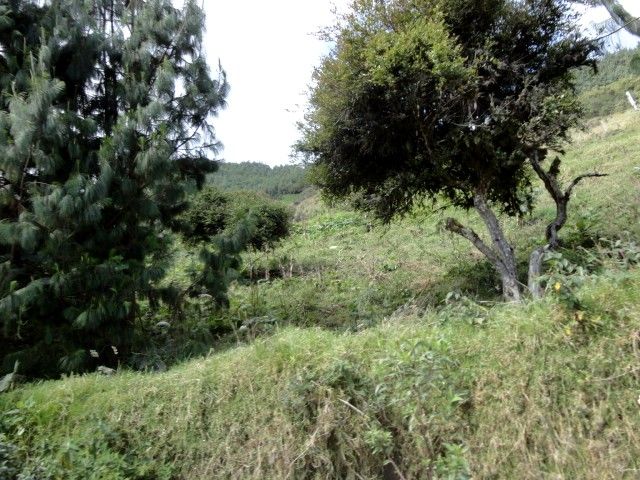 DSC01271