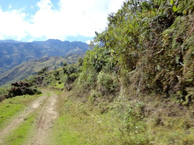 DSC01273