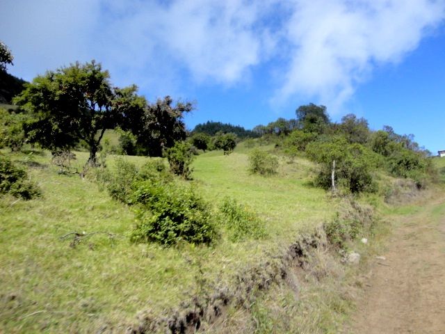 DSC01274