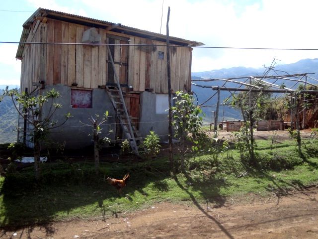 DSC01288