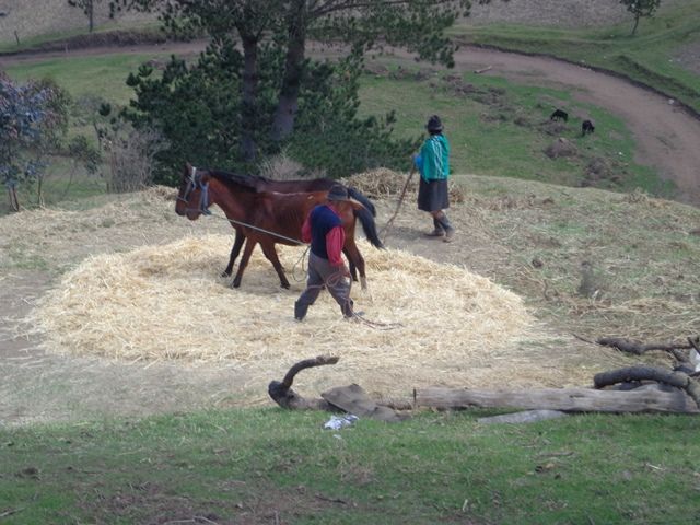 DSC01292
