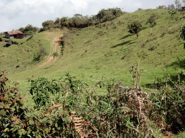 DSC01294