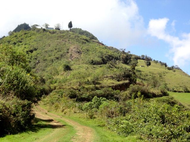 DSC01295