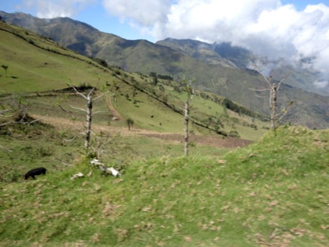 DSC01299