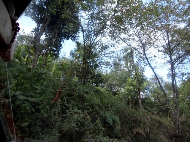DSC01312