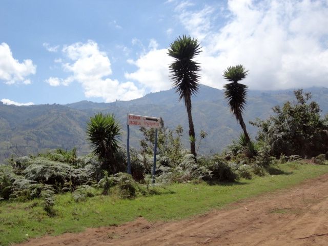 DSC01314