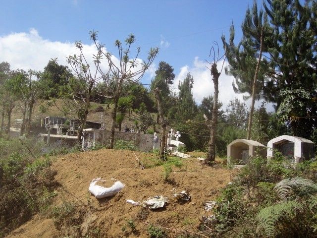 DSC01317