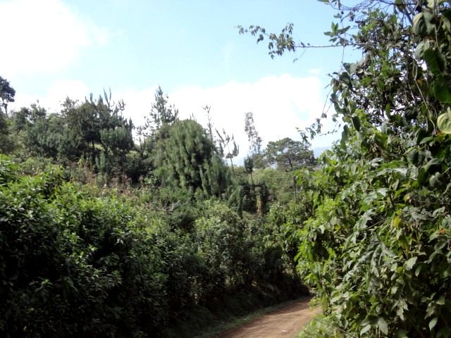 DSC01320