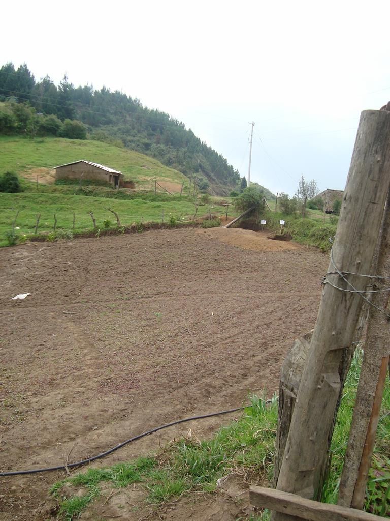 AppleMark