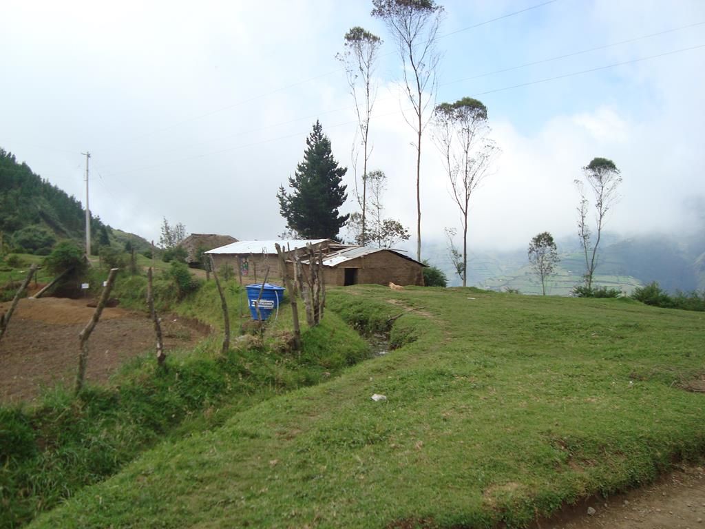 DSC01431 (Copy)