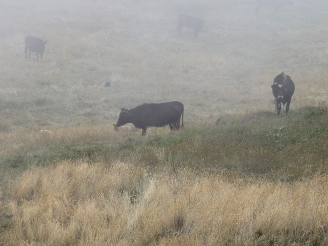 DSC01434