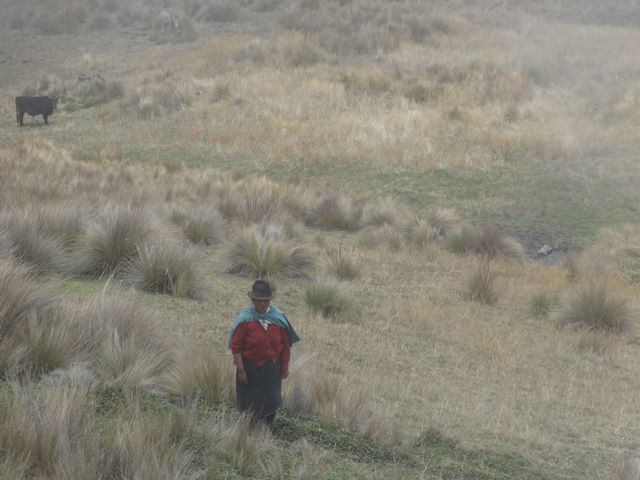 DSC01435
