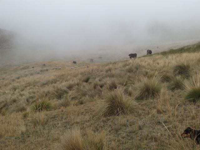 DSC01438