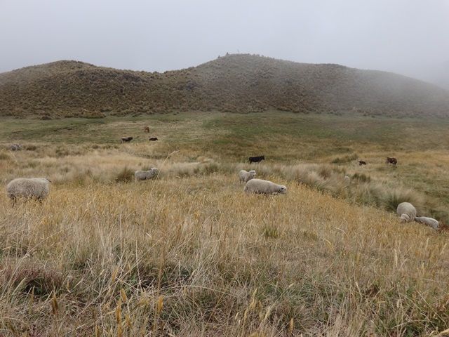 DSC01458