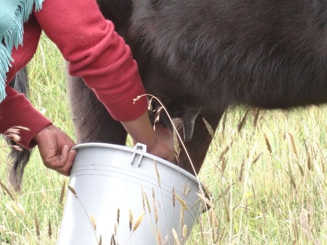 DSC01470