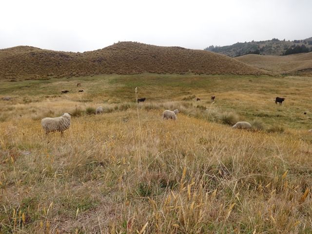 DSC01477