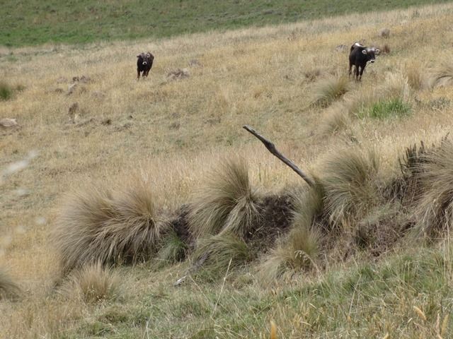 DSC01480