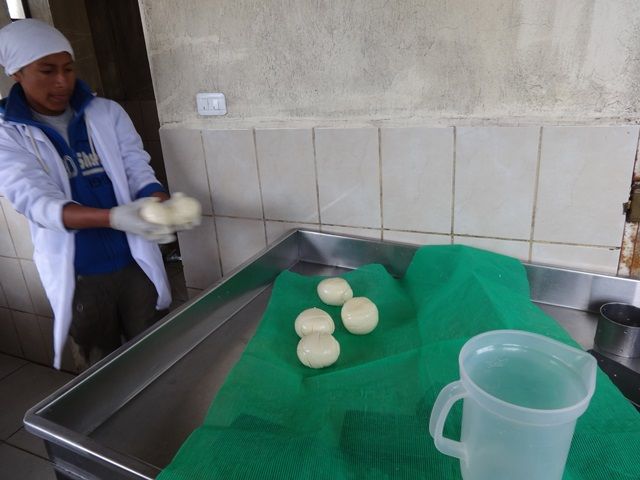 DSC01517