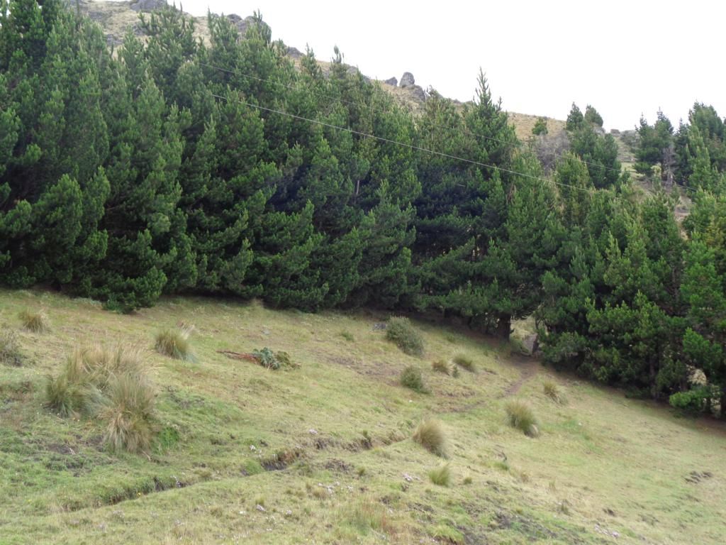 DSC02117 – copia_1024x768