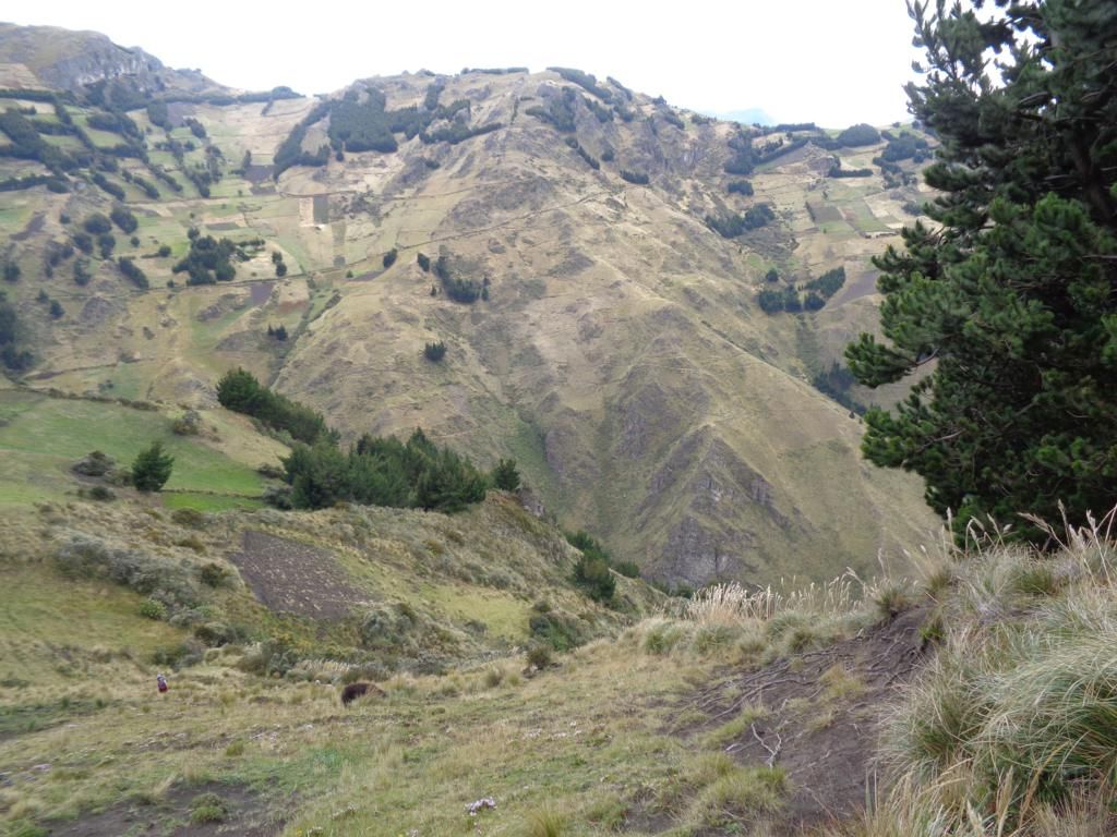 DSC02120 – copia_1024x768