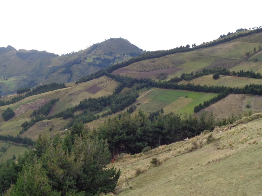 DSC02135 – copia_1024x768
