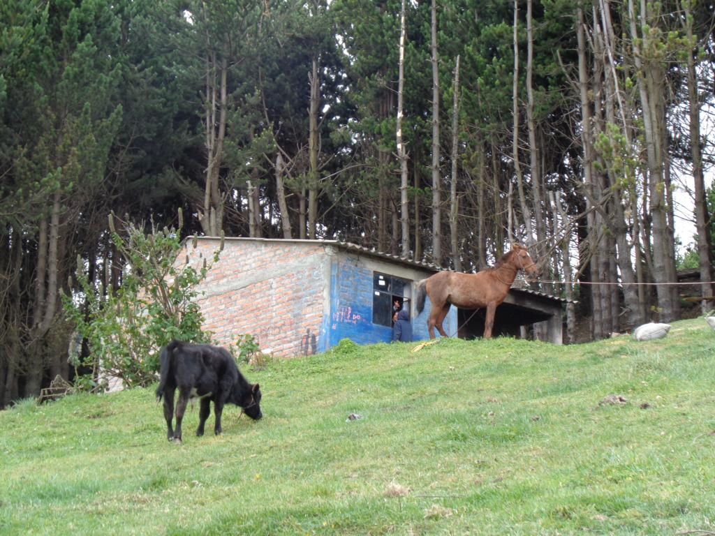 DSC02136 – copia_1024x768