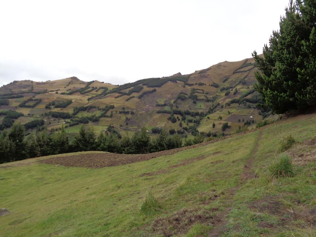 DSC02140 – copia_1024x768