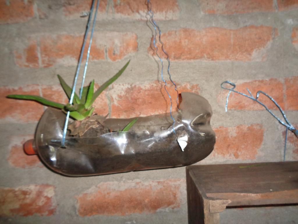 DSC02154 – copia_1024x768