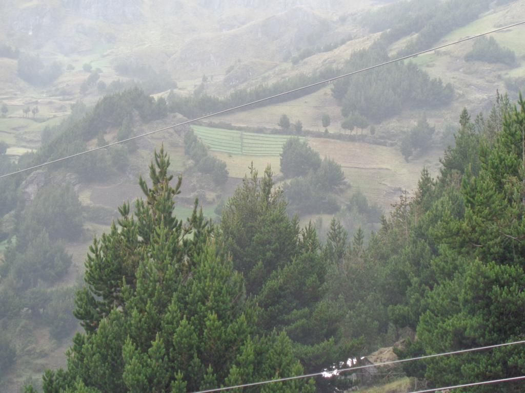 DSC02171 – copia_1024x768