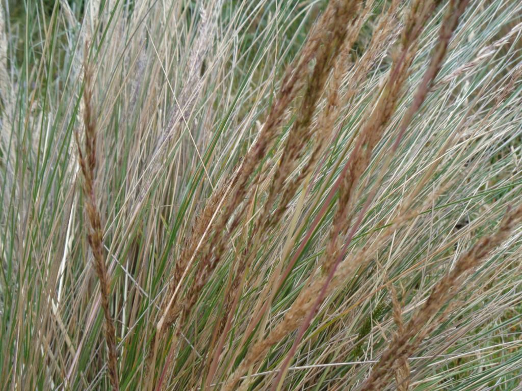 DSC02182 – copia_1024x768