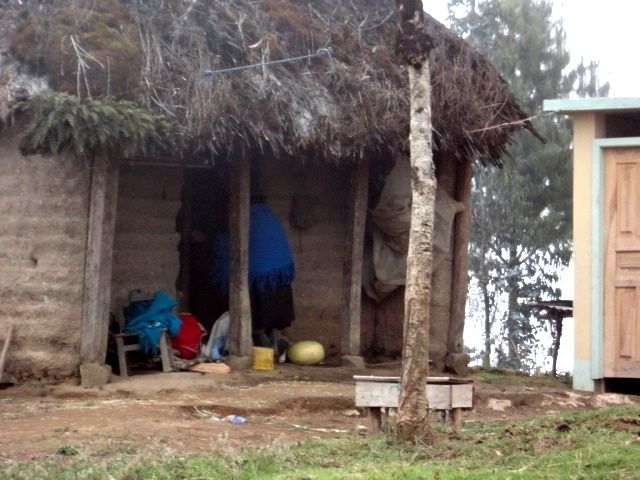DSC02228