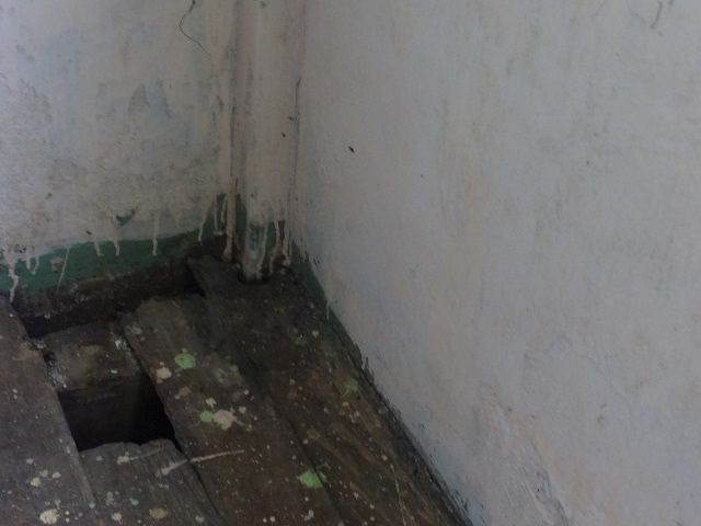 DSC02260