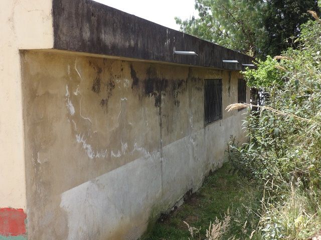 DSC02271