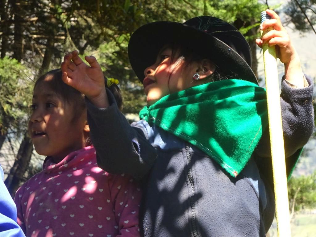DSC02339_1024x768